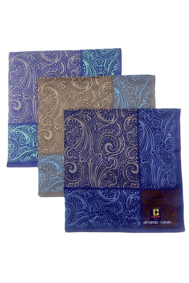 Armando Caruso Paisley Handkerchief -Purple/Brown/Blue