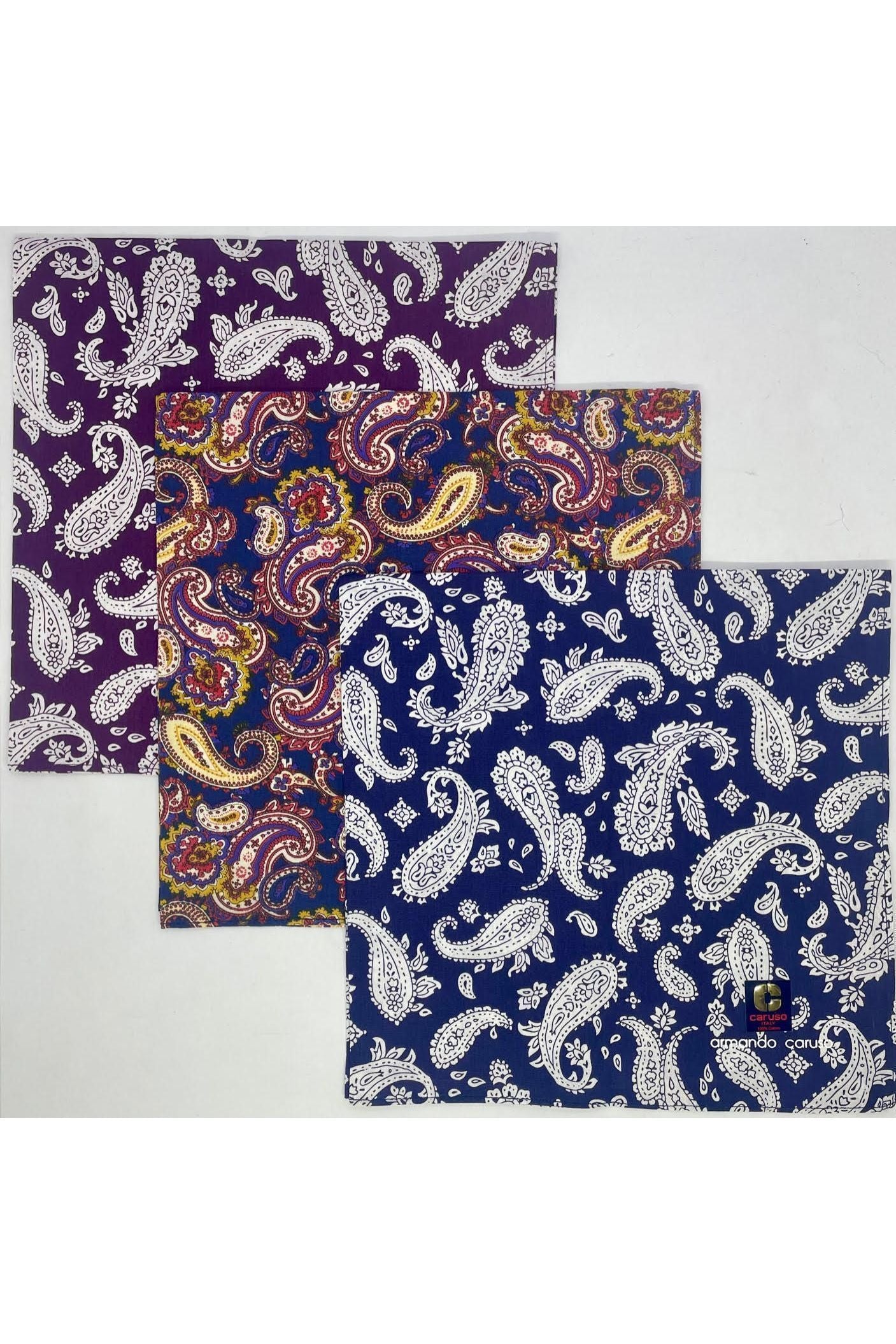 Armando Caruso Paisley Handkerchief -White & Multi