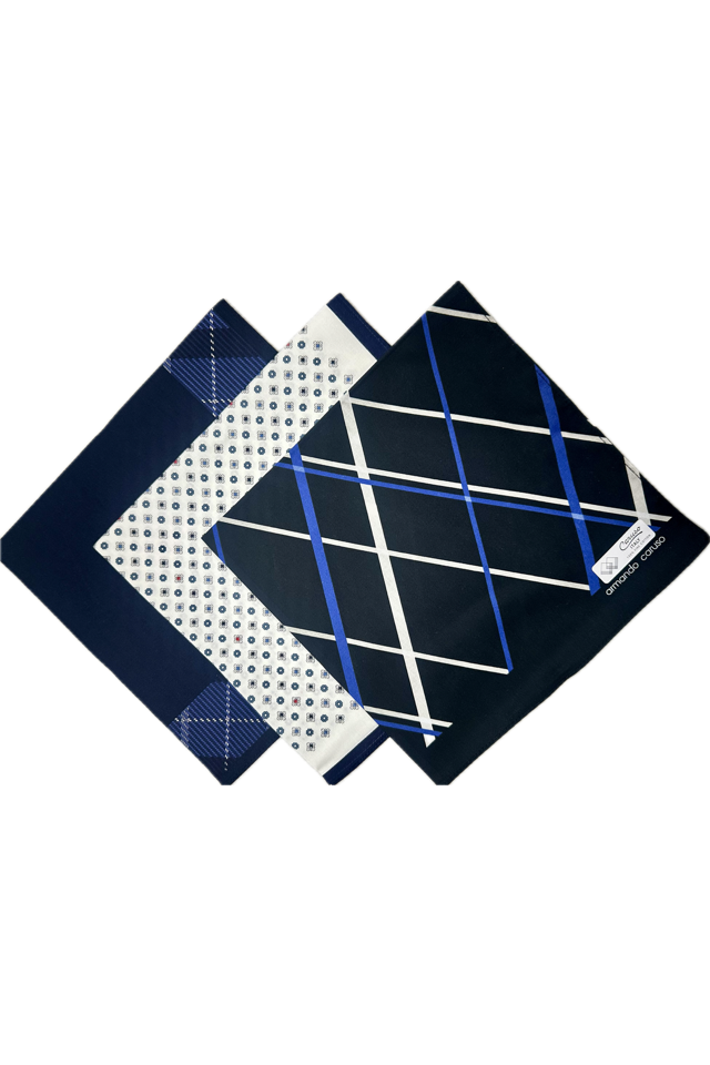 Armando Caruso Check Handkerchief -Black/White/Stripe