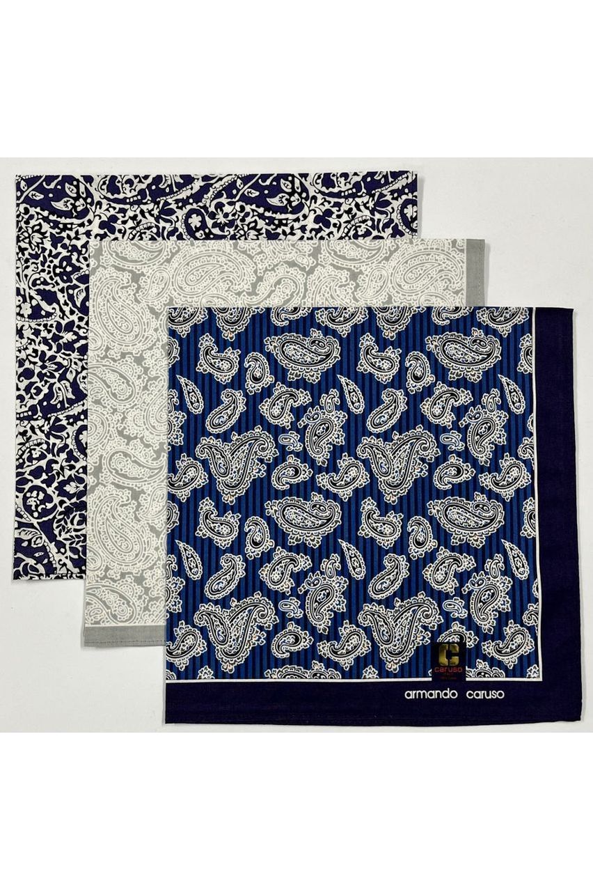 Armando Caruso Paisley Handkerchief -Silver Only