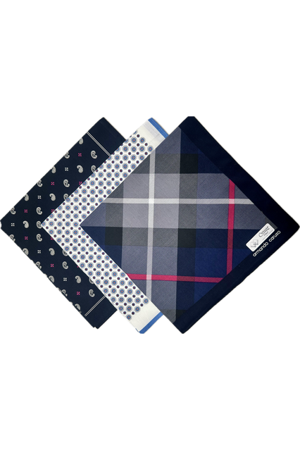 Armando Caruso Printed Handkerchief -Paisley/Dot/Check
