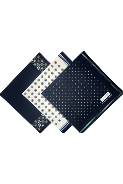 Armando Caruso Paisley Cotton Handkerchief -Black/White/Paisley